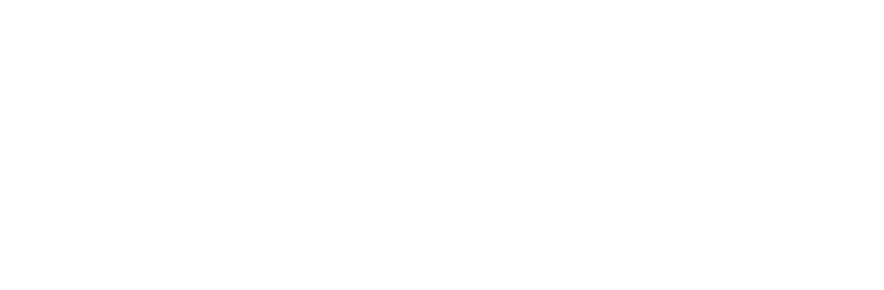 Aevo Consulting Group